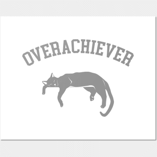 Overachiever Posters and Art